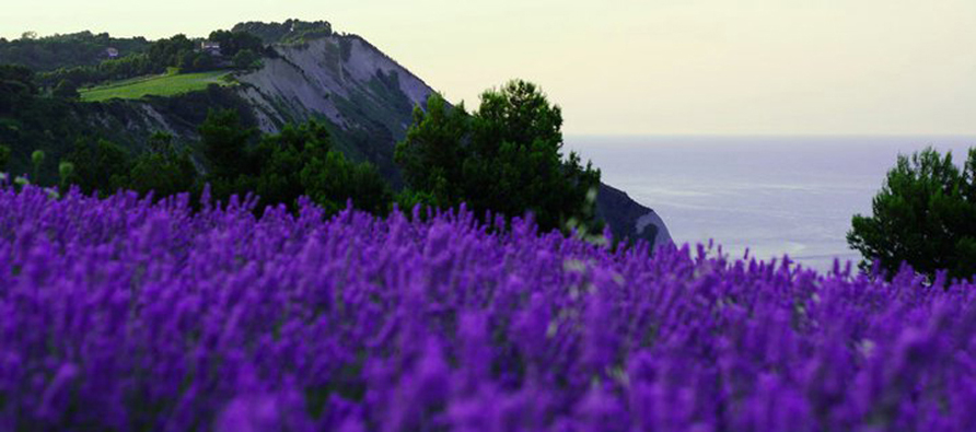 Portonovo - Ancona